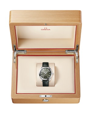 omega-seamaster-aqua-terra-150m-co-axial-master-chronometer-41-mm-22013412110001-portrait-2-224325.png