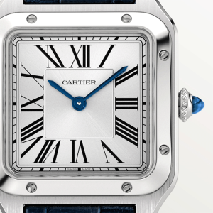 Cartier-Santos-Dumont-CRWSSA0023_0006_CRWSSA0023_13.png