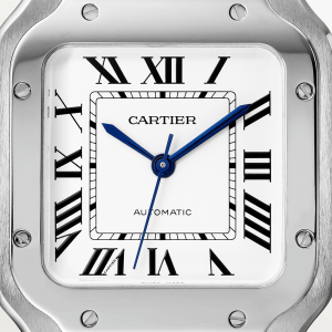 Cartier-Santos-WSSA0029_0000_CRWSSA0029_5.png