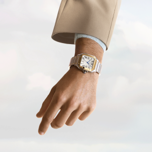 Cartier-Santos_0000_PUWA11148-WORN-SANTOS-GOLD-STEEL-1080x1080-W2SA0009.png