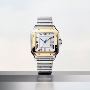 Cartier-Santos_0001_PUWA11148-STILL-SANTOS-GOLD-STEEL-1080x1080-W2SA0009.png