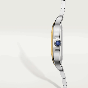 Cartier-Santos_0010_W2SA0016-3.png