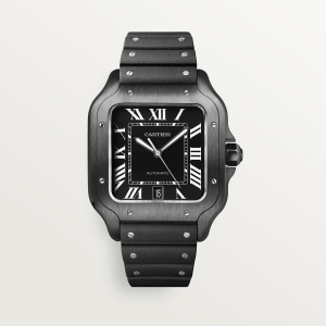 Cartier-Santos_0014_CRWSSA0039_9.png