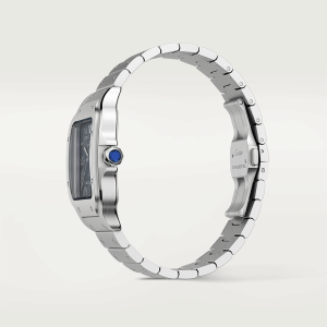 Cartier-Santos_0030_CRWSSA0030_9.png