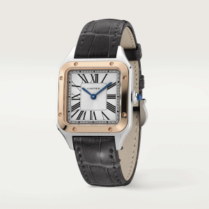 Cartier-Santos_0045_CRW2SA0012_3.png