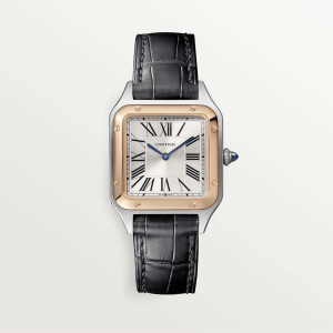 Cartier-Santos_0046_CRW2SA0012_2.png