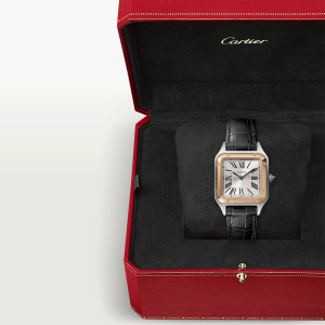 Cartier-Santos_0052_CRW2SA0012_9.png