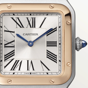 Cartier-Santos_0053_CRW2SA0012_8.png