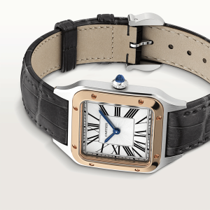 Cartier-Santos_0054_CRW2SA0012_7.png