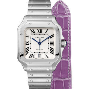 Santos-De-Cartier-Watch-WSSA0018_0007_CRWSSA0018_9.png