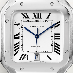 Santos-De-Cartier-Watch-WSSA0018_0010_CRWSSA0018_6.png