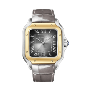 Santos-de-Cartier-watch-CRW2SA0030_0000_CRW2SA0030_1.png