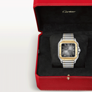 Santos-de-Cartier-watch-CRW2SA0030_0002_CRW2SA0030_9.png