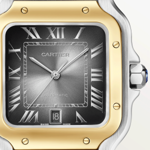 Santos-de-Cartier-watch-CRW2SA0030_0003_CRW2SA0030_8.png