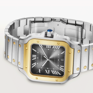 Santos-de-Cartier-watch-CRW2SA0030_0004_CRW2SA0030_7.png