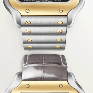 Santos-de-Cartier-watch-CRW2SA0030_0007_CRW2SA0030_4.png