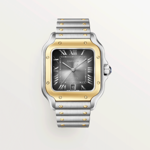 Santos-de-Cartier-watch-CRW2SA0030_0009_CRW2SA0030_2.png