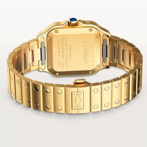 Santos-de-Cartier-watch-CRWGSA0030_0004_CRWGSA0030_7.png