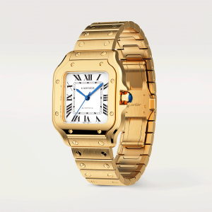 Santos-de-Cartier-watch-CRWGSA0030_0006_CRWGSA0030_5.png