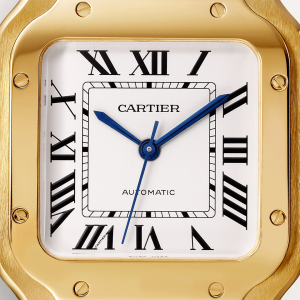 Santos-de-Cartier-watch-CRWGSA0030_0011_CRWGSA0030_9.png