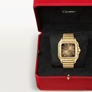 Santos-de-Cartier-watch-CRWGSA0095_0002_CRWGSA0095_8.png