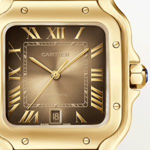 Santos-de-Cartier-watch-CRWGSA0095_0003_CRWGSA0095_7.png