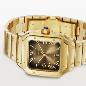 Santos-de-Cartier-watch-CRWGSA0095_0004_CRWGSA0095_6.png