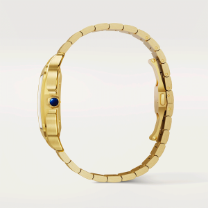 Santos-de-Cartier-watch-CRWGSA0095_0005_CRWGSA0095_5.png