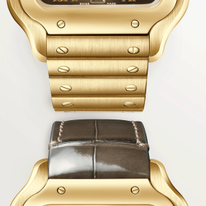 Santos-de-Cartier-watch-CRWGSA0095_0007_CRWGSA0095_3.png