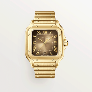 Santos-de-Cartier-watch-CRWGSA0095_0008_CRWGSA0095_2.png