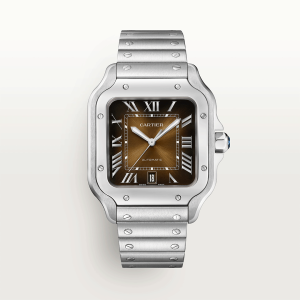 Santos-de-Cartier-watch-CRWSSA0064_0000_CRWSSA0064_2.png