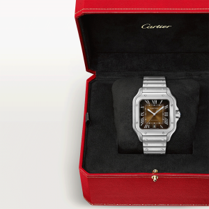 Santos-de-Cartier-watch-CRWSSA0064_0001_CRWSSA0064_10.png