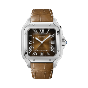 Santos-de-Cartier-watch-CRWSSA0064_0002_CRWSSA0064_1.png