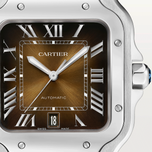 Santos-de-Cartier-watch-CRWSSA0064_0006_CRWSSA0064_9.png