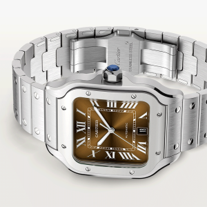 Santos-de-Cartier-watch-CRWSSA0064_0008_CRWSSA0064_7.png