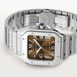 Santos-de-Cartier-watch-CRWSSA0065_0010_CRWSSA0065_6-1.png