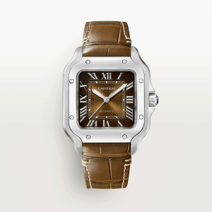 Santos-de-Cartier-watch-CRWSSA0065_0010_CRWSSA0065_6-2.png