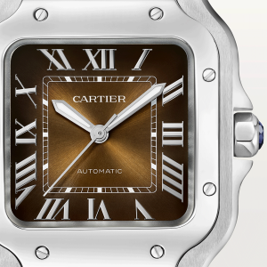 Santos-de-Cartier-watch-CRWSSA0065_0010_CRWSSA0065_6-3.png