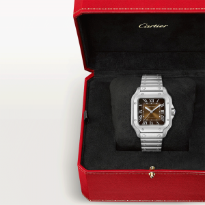 Santos-de-Cartier-watch-CRWSSA0065_0010_CRWSSA0065_6-4.png