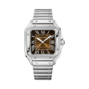 Santos-de-Cartier-watch-CRWSSA0065_0010_CRWSSA0065_6-6.png