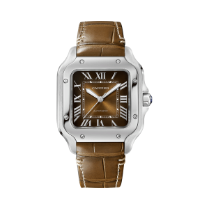 Santos-de-Cartier-watch-CRWSSA0065_0010_CRWSSA0065_6-7.png