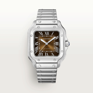 Santos-de-Cartier-watch-CRWSSA0065_0010_CRWSSA0065_6-8.png