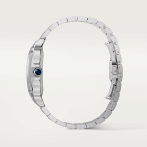 Santos-de-Cartier-watch-CRWSSA0071_0003_CRWSSA0071_13.png