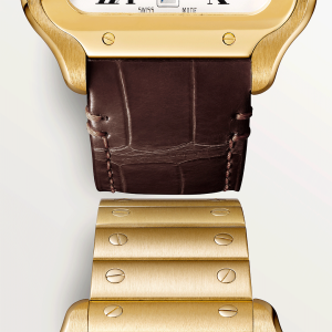 Santos-de-Cartier-watch-WGSA0029_0003_CRWGSA0042_3.png