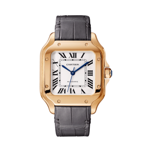 Santos-de-Cartier-watch-WGSA0031_0000_CRWGSA0031_1.png