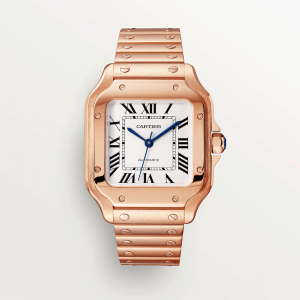 Santos-de-Cartier-watch-WGSA0031_0007_CRWGSA0031_3.png