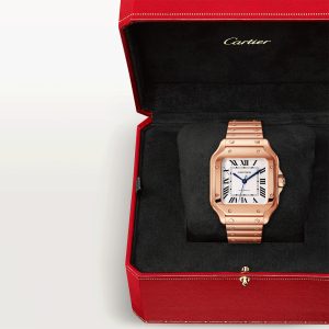 Santos-de-Cartier-watch-WGSA0031_0009_CRWGSA0031_9.png