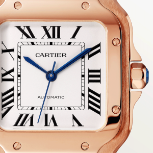 Santos-de-Cartier-watch-WGSA0031_0010_CRWGSA0031_8.png