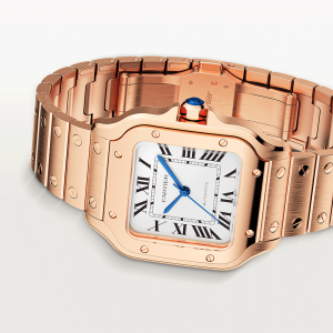 Santos-de-Cartier-watch-WGSA0031_0012_CRWGSA0031_6.png