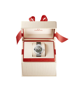 omega-de-ville-ladymatic-co-axial-chronometer-34-mm-42532342057004-portrait-1-eac3c1.png